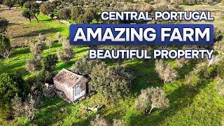 RESERVED  Farm for sale in Central Portugal | 10.750 m2 #centralportugal