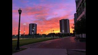 Welcome to Morrill Tower!