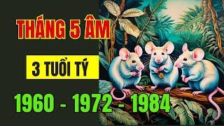 Tháng 5 Âm lịch, Năm ất tỵ 2025. 3 Tuổi Tý, Tuổi nào sẽ Đón lộc trời Ban, Tiền tài ngập két,