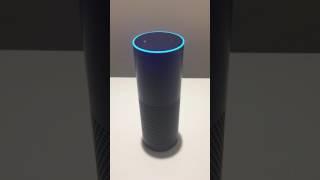 SAP Business One Assistant powered by Alexa helping executives with business questions