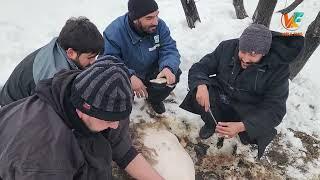 کمپ برفی قسمت سوم - گوسفند را لاندی کردیم - میلاد آتش گرفت 