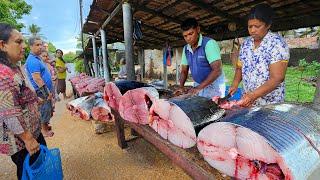 Amazing !! Traditional Village Biggest Street Fish Markets Island Of Sri lanka