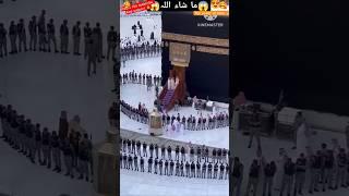 makka madina live hajj 2024live umrah#madina#makka #trending#viral#islamic #shortvideo#beautiful