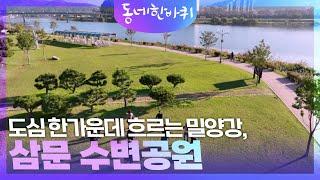 도심 한가운데 흐르는 밀양강, 삼문 수변공원 [동네 한 바퀴] | KBS 241130 방송