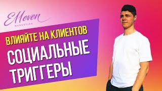 СОЦИАЛЬНЫЕ ТРИГГЕРЫ. Как повлиять на клиентов и увеличить подажи? | Дмитрий Провоторов