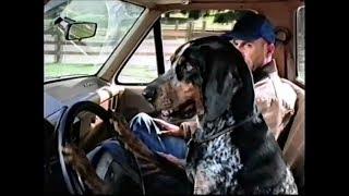 CarFax TV Commercial HD
