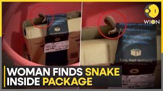 Bengaluru: Woman orders Xbox controller, finds a snake instead | India News | WION