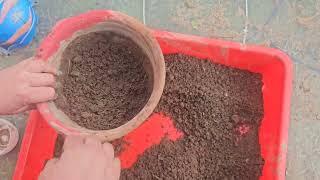 How to Prepare Soil Mixture  and grow Winter Plants  in pots || Fun Gardening