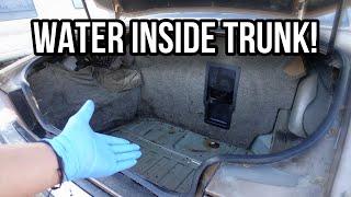 How To Find and Fix Trunk Water Leaks in Your Car