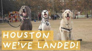 Houston, we've landed! The Paws For Love Tour RV has arrived and kicked off the first tour stop!