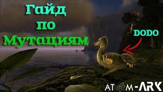 Гайд по мутациям Ark: Survival Evolved