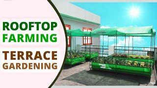 How To Start an Organic Rooftop Garden | Terrace Gardening Ideas