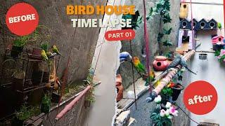 Birdhouse Before & After: A Stunning Time-Lapse Reveals | part 1 | BIRD DOCUMENTARY | birdasmr