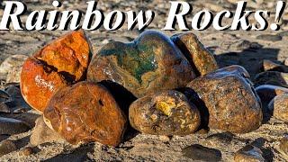 Rainbow Rocks! Red Plume, Blue Agatized Wood, Green Jasper, & More! | Rockhounding The Yellowstone