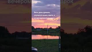 #любаня #балтика #природа #балтика #калининград