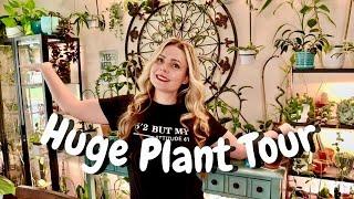 Huge Plant Tour In My Dining Room