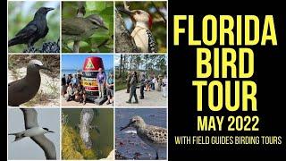 Florida Bird Tour | May 2022