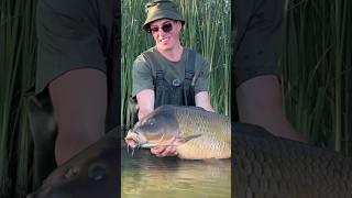 БРОНИРОВАННЫЙ КАБАН  #рыбалка #carpfishing #поймалотпусти #fishing #carp #карп #cfteam #fish