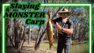 Slaying MONSTER Carp in the MURRAY | Freshwater Fishing Australia