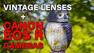 Use Vintage Lenses on a Canon EOS R Digital Camera