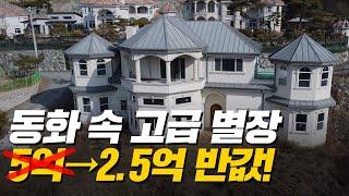 '땅값보다 싼' 유럽풍 고급 별장 전원주택 2.5억 반값 쇼핑 (머니플레이스)