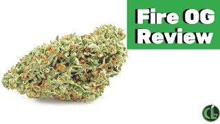 Fire OG Strain Review | Cannabis Lifestyle TV