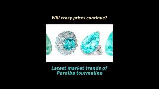 Will crazy prices continue?Latest market trends of Paraiba tourmaline