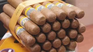 Why Cuban Cigars Are So Expensive | So Expensive