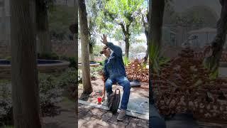 Nos hallamos a CHEMA cantando estos CORRIDOS en el jardín de #tepetongo