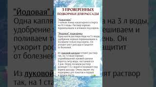 Подкормка для рассады #дача #огород #полезныесоветы #советы