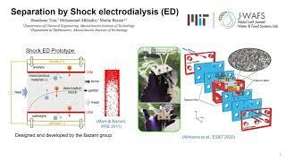 Separation by Shock Electrodialysis: 2021 MIT World Water Day Video Competition