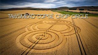 Crop Circle - Tawsmead Copse nr West Stowell - Wiltshire 28/07/22