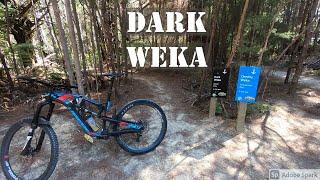 Dark Weka/Cheeky Weka - Kaiteriteri MTB park