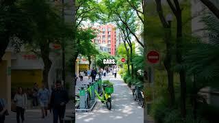 Sustainable Urban Mobility: A Community's Transformation