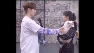 Yibo and Cheng Xiao (Tong Yao) playing with her Cat #chengxiao #yibo #FallingIntoYourSmile #douyin