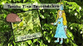 Die Hecke - Wissen für Kinder 