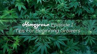 Homegrown: Tips For Beginning Growers