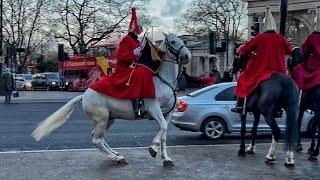 Terrifying Moment: Horse Almost Struck by Car! (FULL VIDEO)