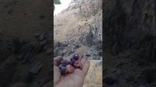 #delicious #mountain #fruit #adventureatmosphere #iran#lorestan