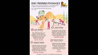 #dog #training #pettrainning #delhi  (8800273706) #noida #gurugram #faridabad #gaziabad