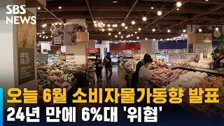 오늘 6월 소비자물가동향 발표…24년 만에 6%대 '위협' / SBS