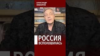 Путин переезжает #невзоров