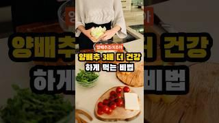 양배추3배 더 건강하게 먹는 비법 #건강정보 #이슈 #건강한중년 #건강뉴스 #지식 #50세 #음식