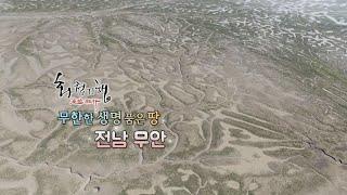 화첩기행 무한한 생명 품은 땅  - 무안