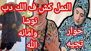 فضي حه#عالم-نشوي# ️هيمه فأته محلوله سماح حبي حياتك كدابه ياسمين بيت النمل كشف الحوار