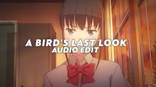 a bird's last look jersey remix - macabre plaza [edit audio]