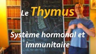 Le Thymus - systeme endocrinien épisode 04