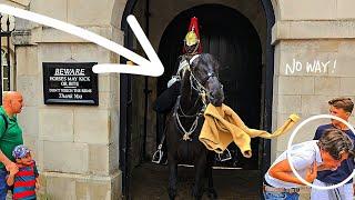 Horses do not like tourists disrespecting the King's Guard at Horse Guards, ORMONDE DAY