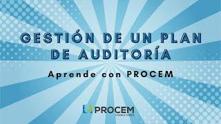 Gestión de un Plan de Auditoría