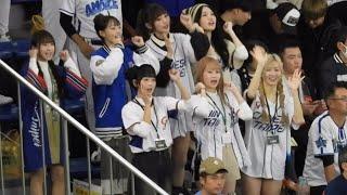 凄まじき台湾応援！美女チアガール集結！超盛り上がるチャンス場面！wbsc Premire12 in Tokyo  Dome 日本対台湾　2024/11/23(土)